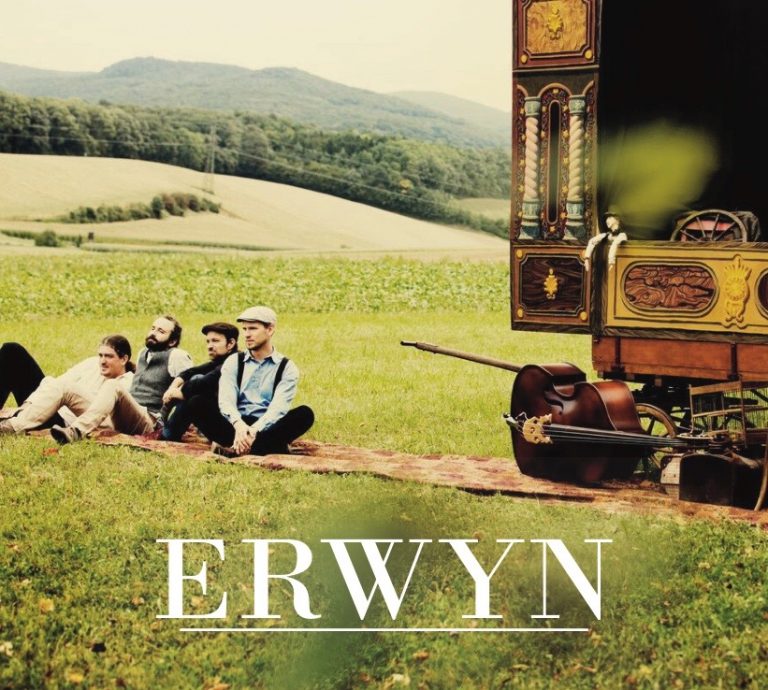 Erwyn